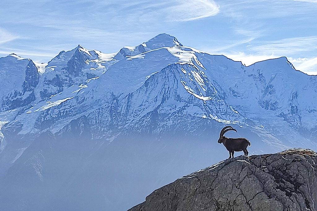 Image Randonnée Mont-Blanc