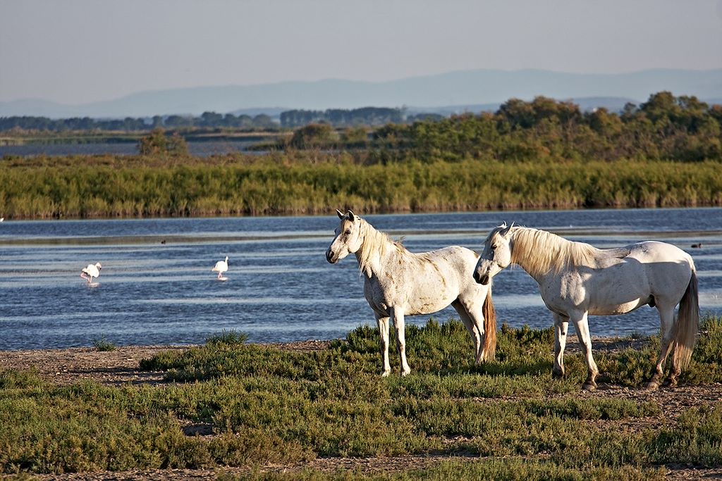 Image Circuit vélo Camargue - Canal du Midi - Méditerranée à vélo