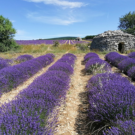 Randonnée France Provence - Côte d'Azur