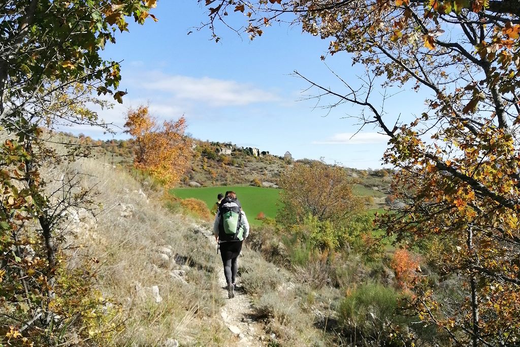 Image Randonnée Provence - Ecrivains provençaux - Randonnée Luberon