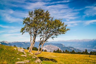 © Jean-Louis Billault - Plateau de la Molière - Vercors - France Plateau de la Molière - Vercors - France