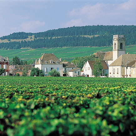 Vélo France Massif Central