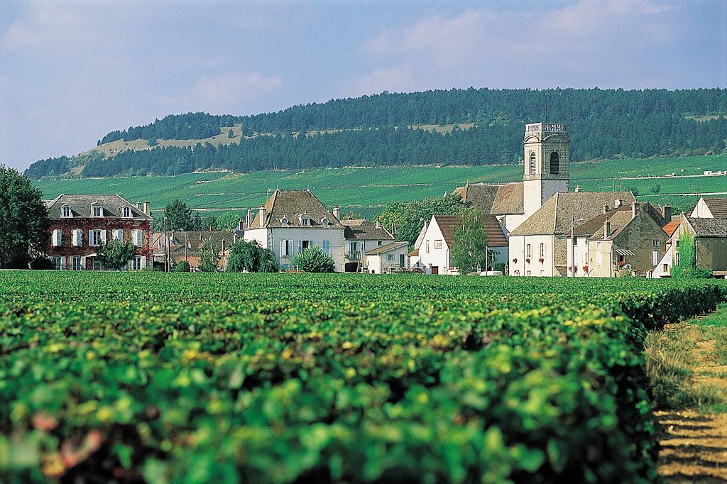Image Tour de Bourgogne à vélo - Voie des vignes à vélo - Côte de Nuits à vélo