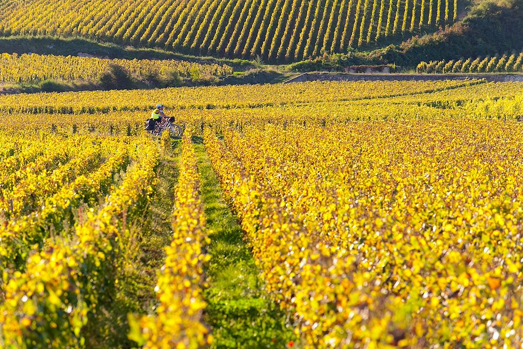 Image Tour de Bourgogne à vélo - Voie des vignes à vélo - Côte de Nuits à vélo
