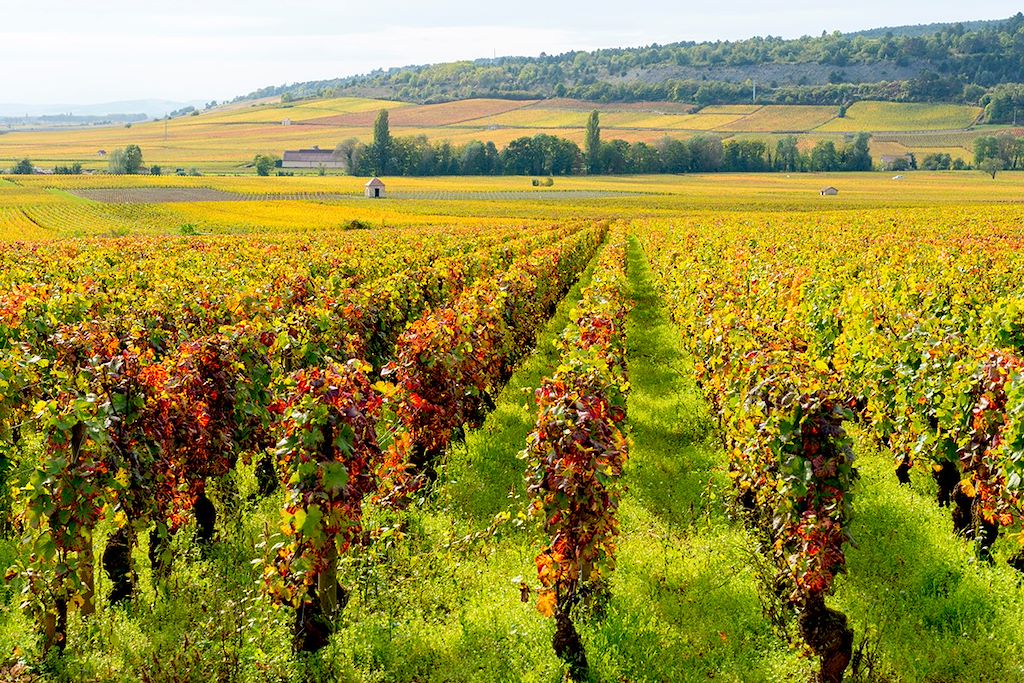 Image Tour de Bourgogne à vélo - Voie des vignes à vélo - Côte de Nuits à vélo