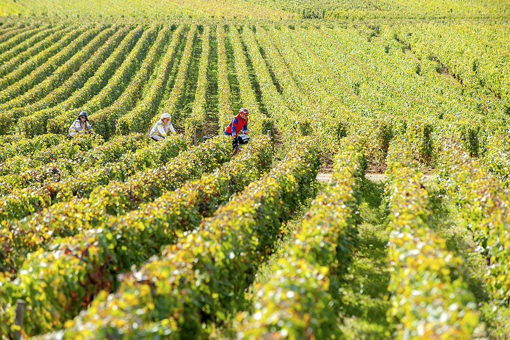 Image Tour de Bourgogne à vélo - Voie des vignes à vélo - Côte de Nuits à vélo