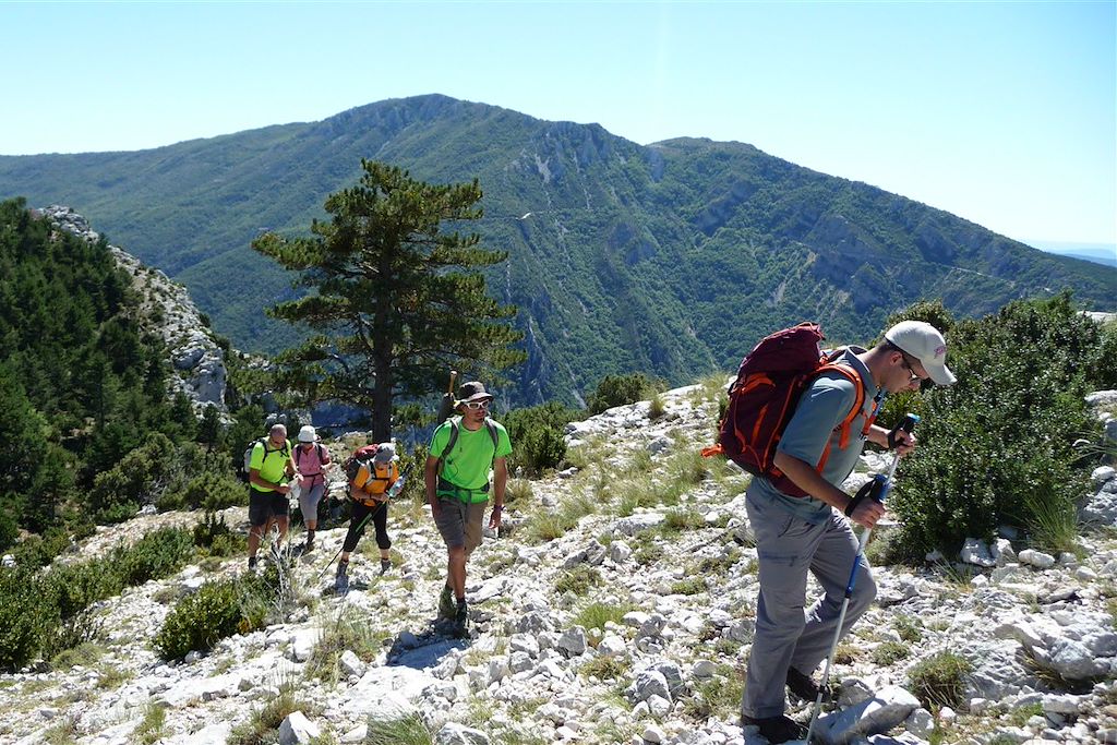 Image Randonnée Gorges du Verdon - Sentier Martel
