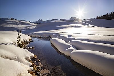 © WITT Pierre / hemis.fr - Ceillac - Parc naturel régional du Queyras - Hautes-Alpes - France Ceillac - Parc naturel régional du Queyras - Hautes-Alpes - France