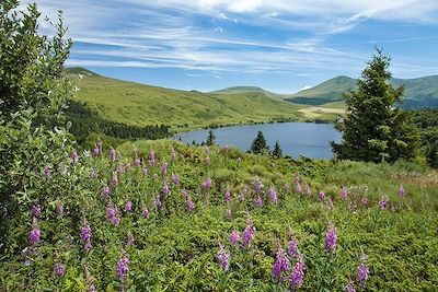 © CORMON Francis / hemis.fr - Le lac de Guéry - Puy-de-Dôme - Auvergne - France Le lac de Guéry - Puy-de-Dôme - Auvergne - France