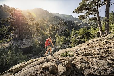 Randonnée dans la foret, Corse