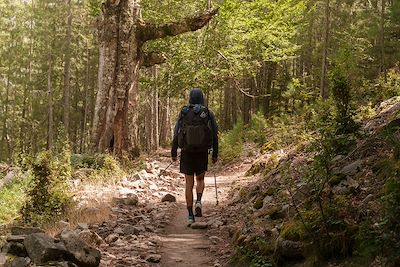 GR20 - Corse - France