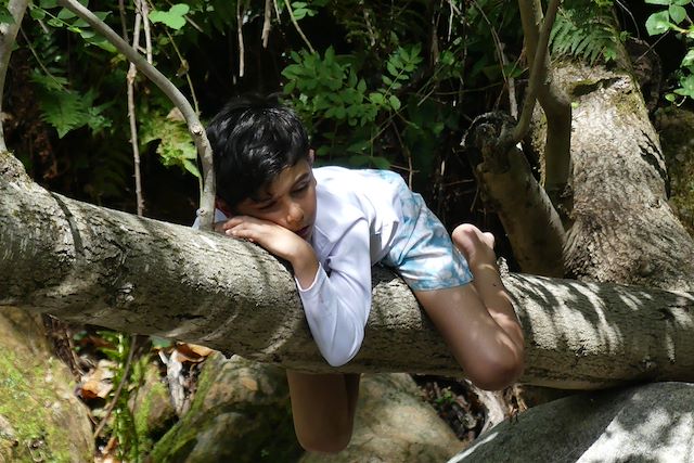 Forêts, collines, rivières et lacs : Aventures au cœur du Caroux Voyage Aventures au cœur du Caroux
