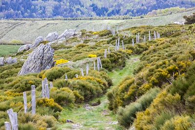 © Fred Houel - Randonnée en Ardèche - France Randonnée en Ardèche - France