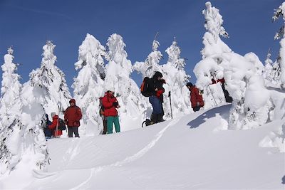 © Laurent Diet - Randonnée raquette près de Bagnols-les-Bains - France Randonnée raquette près de Bagnols-les-Bains - France