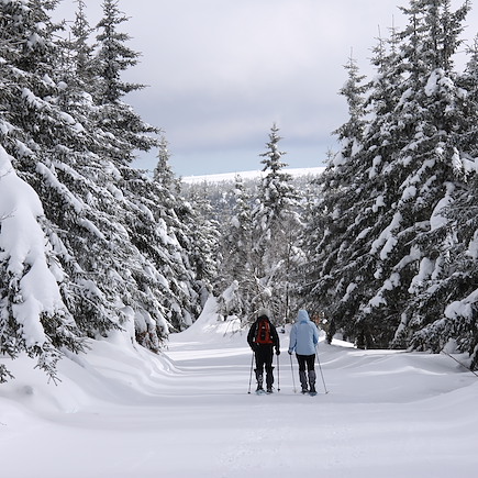 Découverte neige à Bagnols-les-Bains