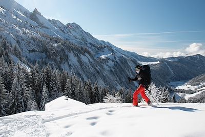 Voyage Alpes du Sud