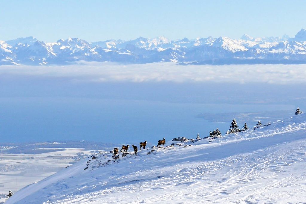 Image Vallée d'Abondance - Randonnée Chablais - Randonnée raquettes