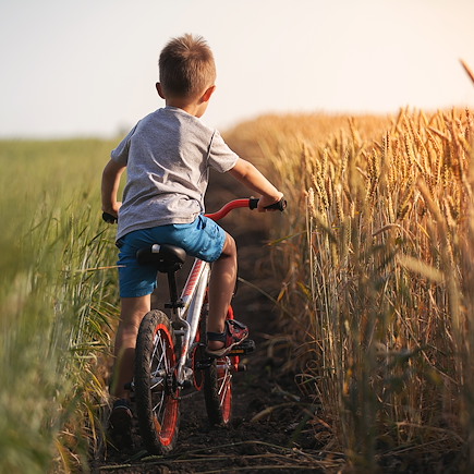 Vélo France Pays Basque et Sud-Ouest