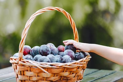 Panier de prunes