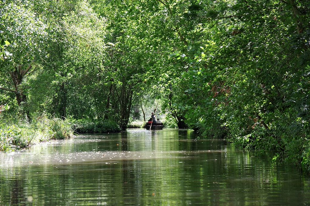 Image Le Marais poitevin à vélo - La Rochelle à Niort à vélo - Le Parc naturel régional du Marais poitevin