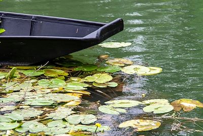 Marais Poitevin - France