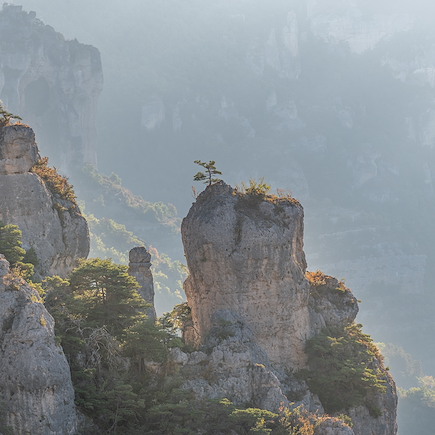 Randonnée France Massif Central