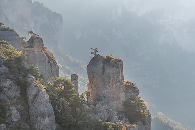 Voyage  Massif Central