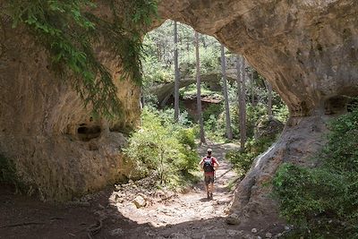© AZAM Jean-Paul / hemis.fr - Causse Méjean - Occitanie - France Causse Méjean - Occitanie - France