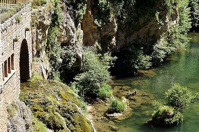 © MATTES René / hemis.fr - Baignade dans les gorges du Tarn - France Baignade dans les gorges du Tarn - France