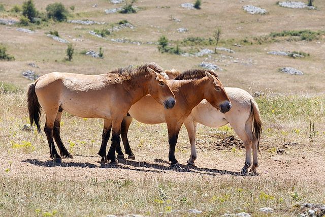 © LEROY Francis / hemis.fr