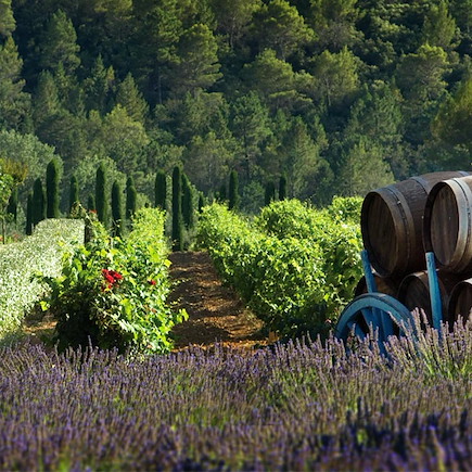 Randonnée France Provence - Côte d'Azur