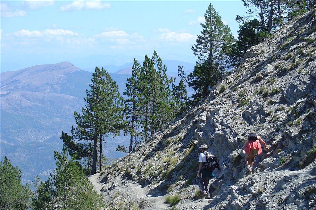 Image Randonnée Dentelles de Montmirail - Vaison la Romaine