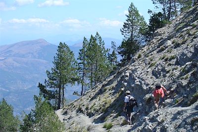 © Walk inn Provence - Mont Ventoux - Provence - France Mont Ventoux - Provence - France