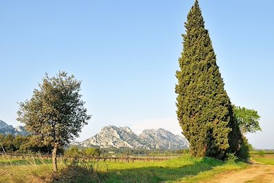 © Sonja Zimmel - Alpilles - Provence - France Alpilles - Provence - France