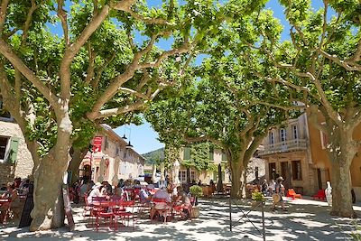 © Sonja Zimmel - Maussane-les-Alpilles - Provence - France Maussane-les-Alpilles - Provence - France