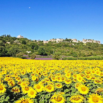Randonnée France Provence - Côte d'Azur