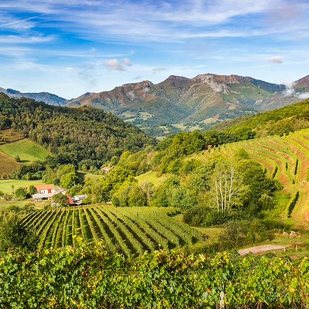 Voyage Pyrénées