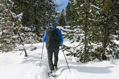 Randonnée à raquettes sur le Col d'Azet - France