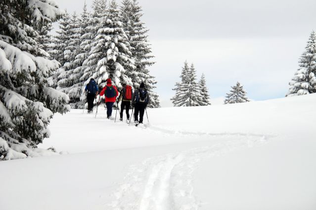 Voyage à la neige : Nouvel an sur les crêtes du Jura