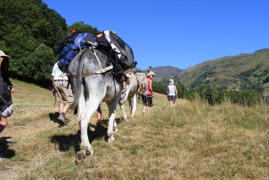 Image Randonnée Avec Des Ânes En Famille - Randonnée En Ariège En Famille