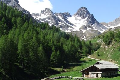 © Patrick Miannay - Alpages de Clapeyto - Queyras -France Alpages de Clapeyto - Queyras -France