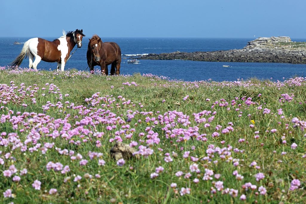 Image Randonnée Finistère - Randonnée Roscoff - Rando bien-être - île de Batz