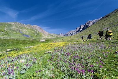 © Gregory Rohart - Vers le mont Thabor - Alpes du Sud - France Vers le mont Thabor - Alpes du Sud - France