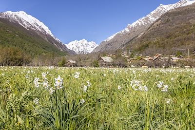 © Thibaut Blais / Pays des Ecrins - Vallée de la Vallouise - Massif des Ecrins - France Vallée de la Vallouise - Massif des Ecrins - France