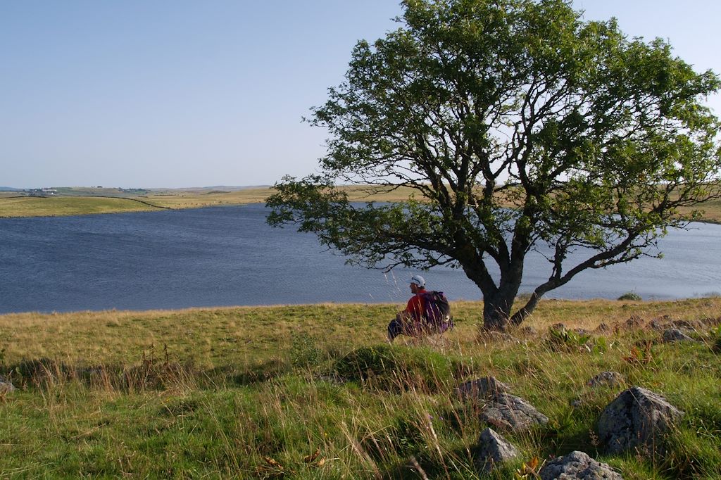 Image Randonnée Puy en Velay - Chemin Compostelle - Randonnée Aubrac