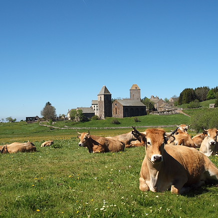 Randonnée France Massif Central
