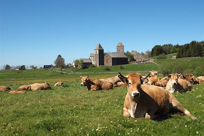 © P. Saint-Jean - Aumont-Aubrac - France Aumont-Aubrac - France