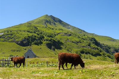 © P. Saint-Jean - Traversée du Massif Central : du Cantal à l'Aubrac - France Traversée du Massif Central : du Cantal à l'Aubrac - France