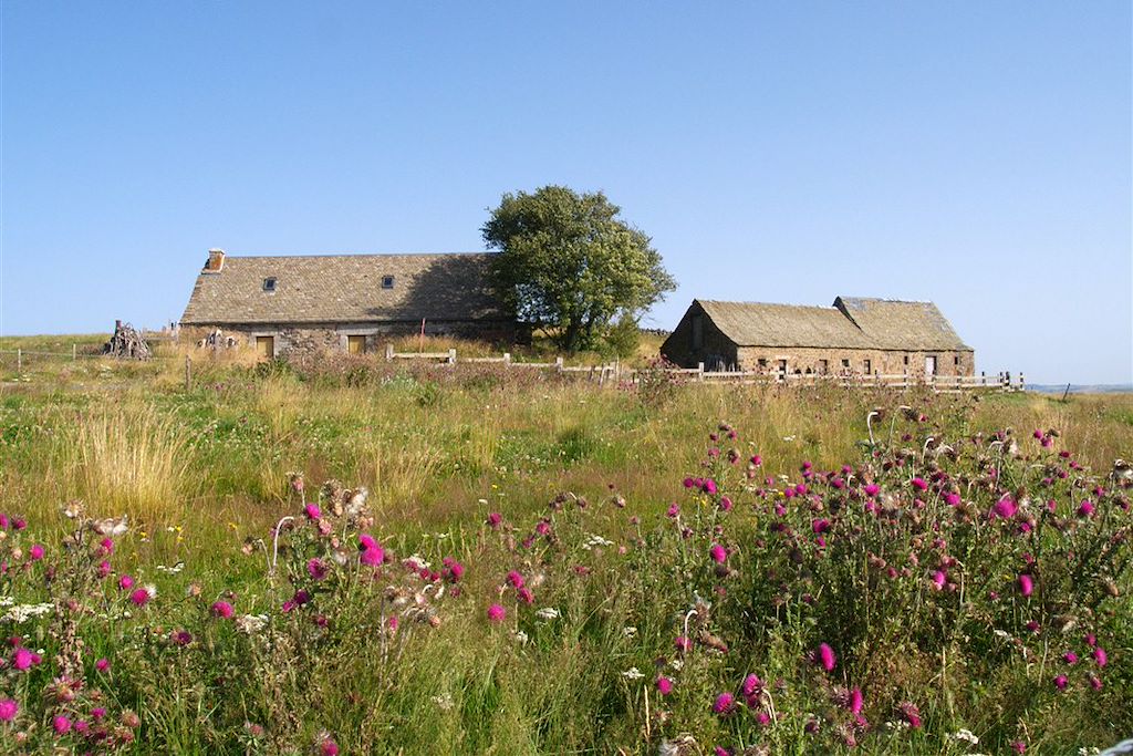 Image Randonnée Puy en Velay - Chemin Compostelle - Randonnée Aubrac