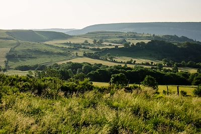 © M. Hennessy/Tourisme Aveyron - Paysage d'Aubrac - France Paysage d'Aubrac - France